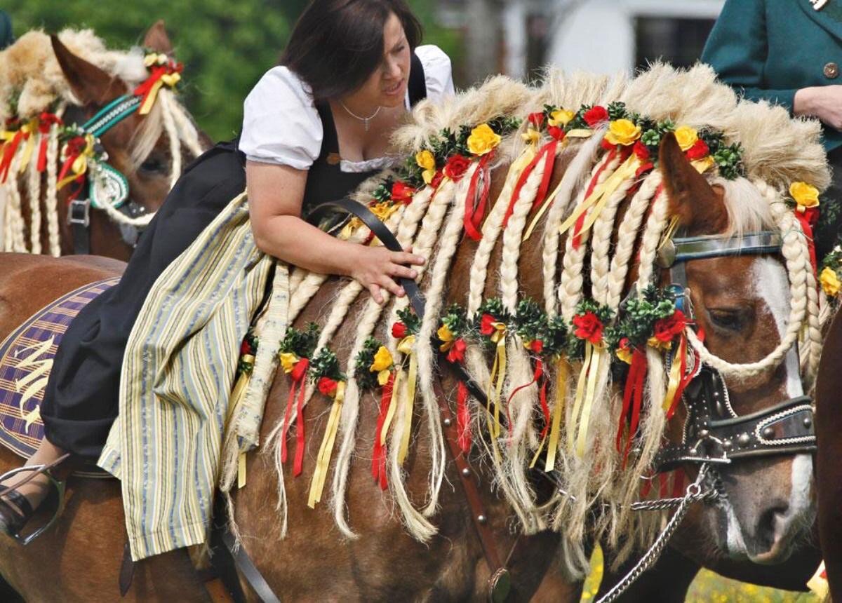 Лошадиные праздники | Лошадки для души | Horses for soul | Дзен