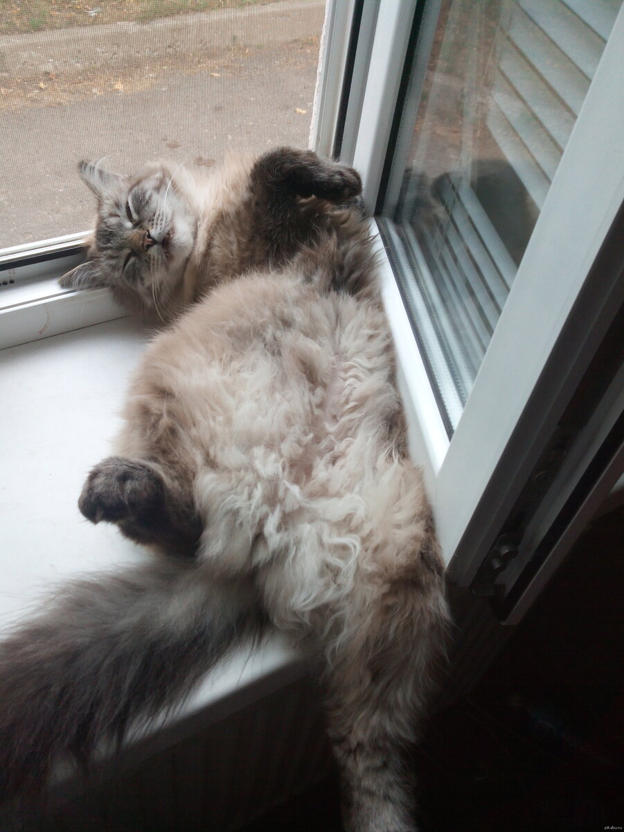 Открыли окно можно охладиться!