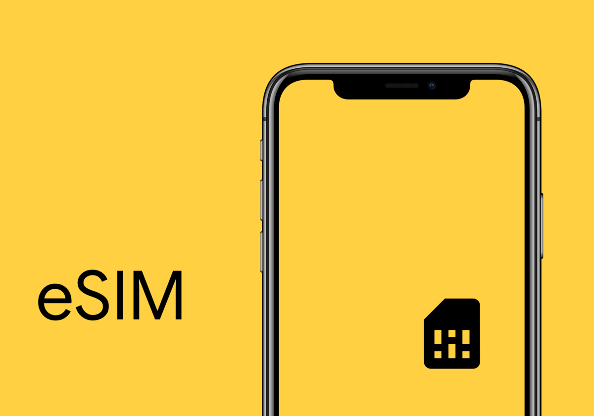 Iphone 11 поддерживает esim