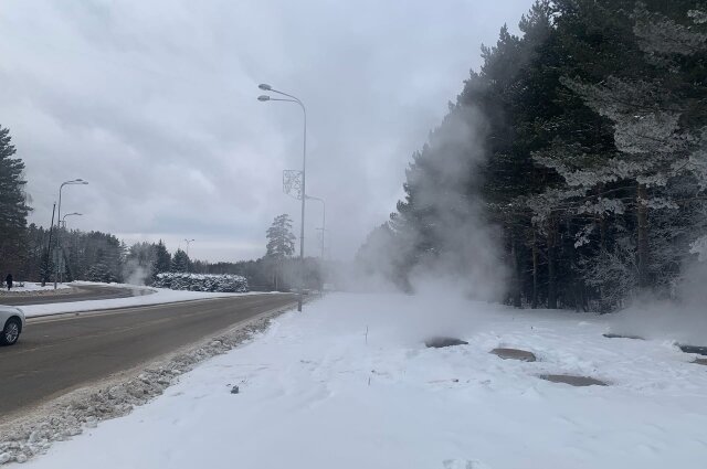    Фото: Комсомольская правда Томск/ Ксения Высотина