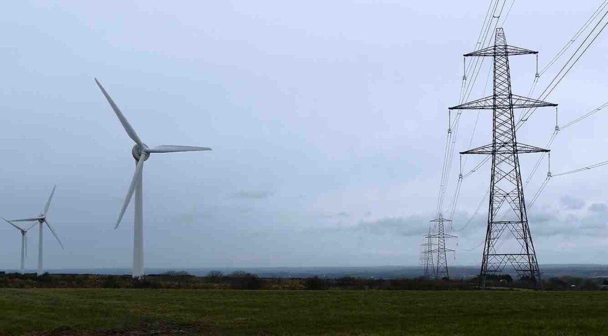 картинка автора