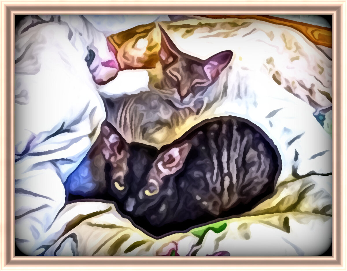 С праздником — Всемирным днём кошек!