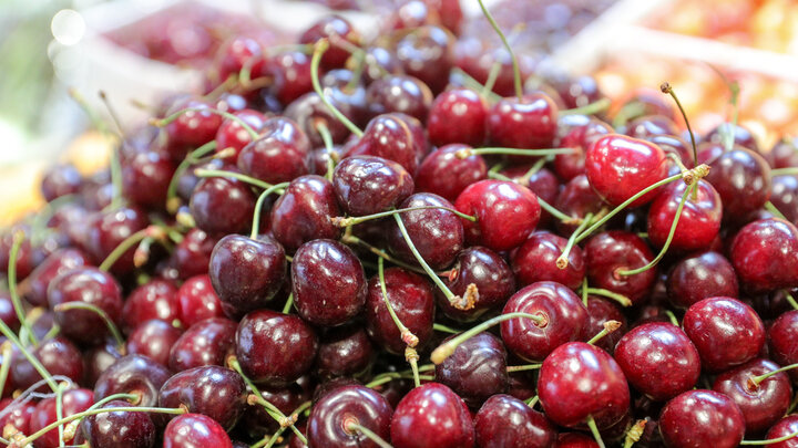 ФОТО: BULKIN SERGEY/GLOBALLOOKPRESS