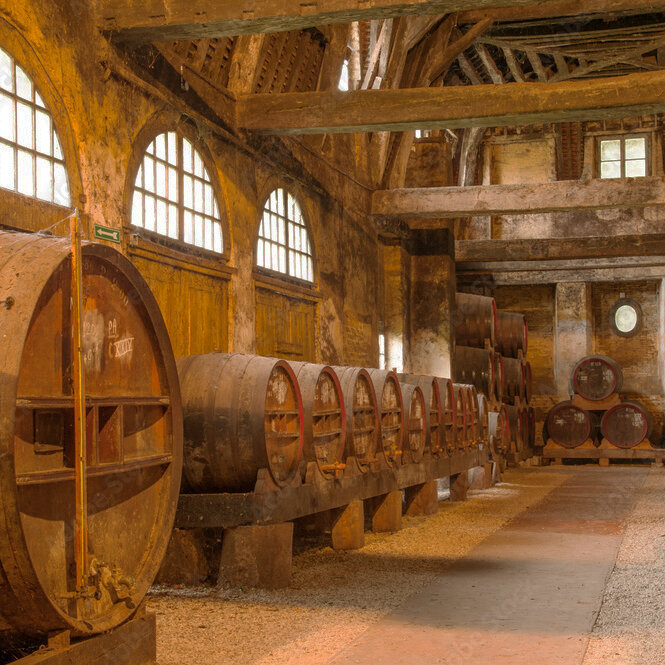 Источник: freepik.com