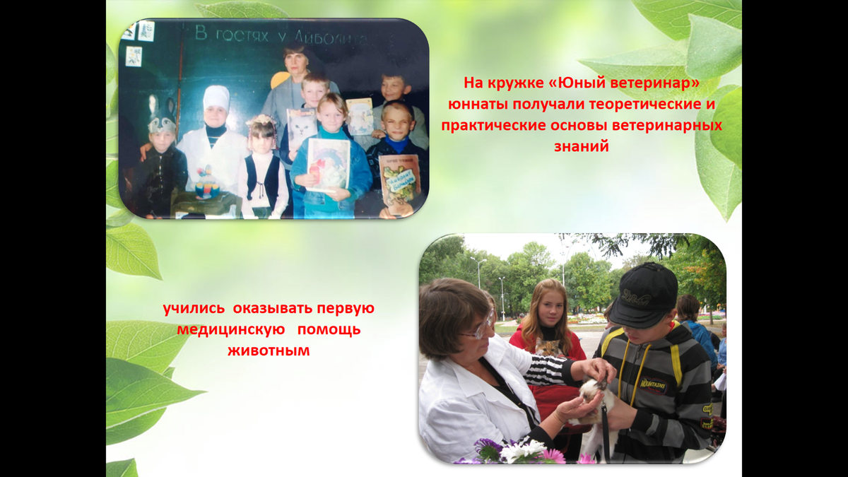 Посвящение в юннаты
