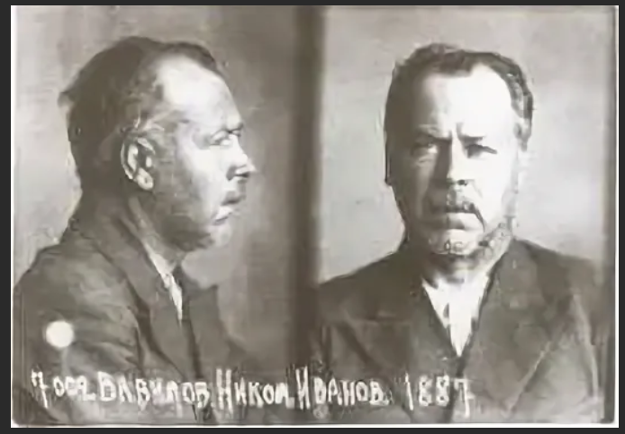 Арестованный Н.И.Вавилов. Источник фото - https://vk.com/wall-36203898_39753