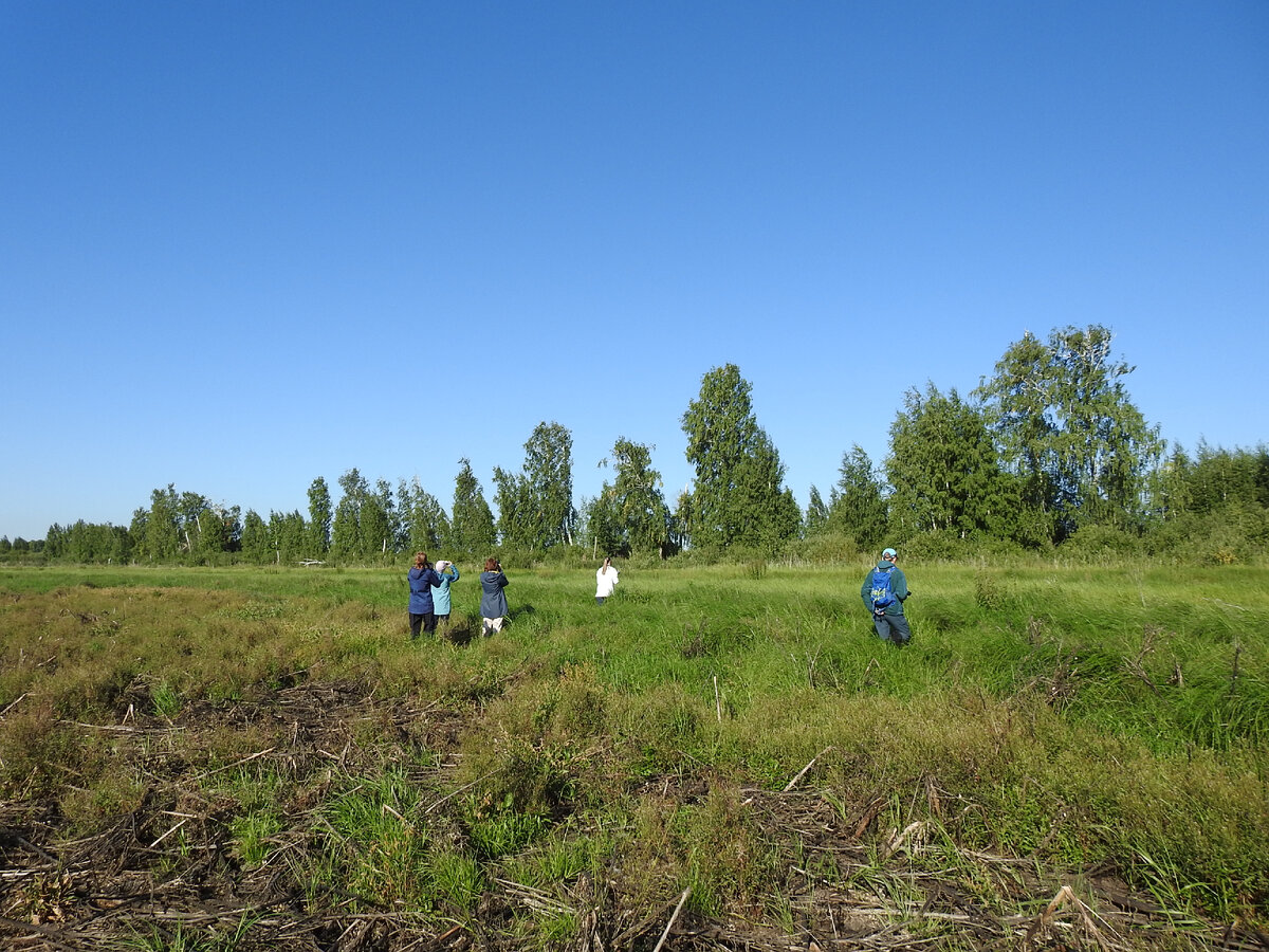 Рассматриваем и фотографируем дербника