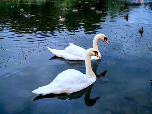    Фото: Никита Чудин. UG.RU