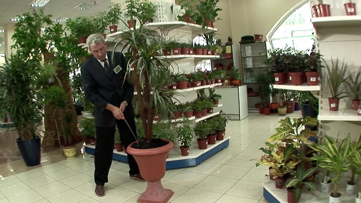 Смейся с нами, до слёз. Самый весёлый канал  без диалогового юмора. Приглашай друзей, пусть тоже повеселятся. Мы рады вас всех видеть.