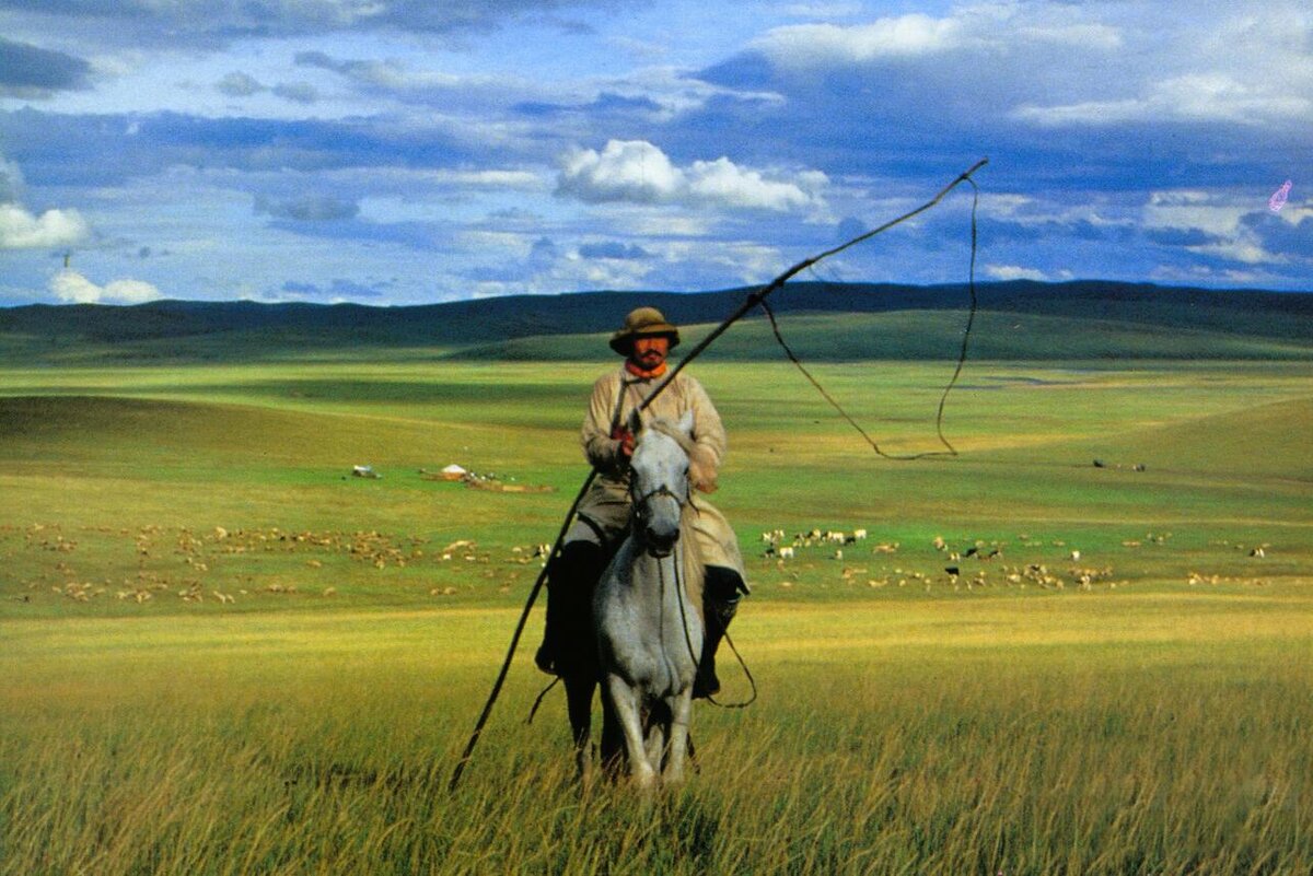 рада рай - территория любви (2015). хирургия территория любви. урга территория любви постер. территория любви 4 буквы.