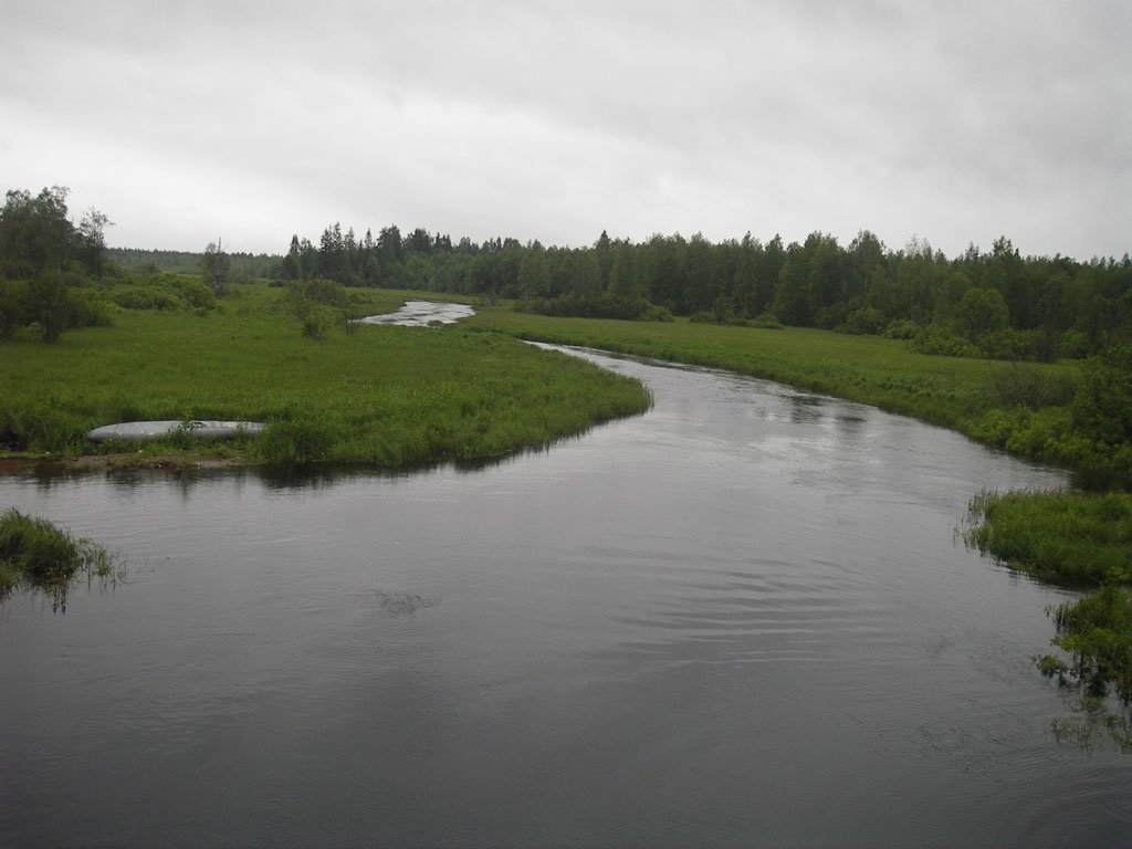 Вода кулой. Река Кулой Вологодская область. Кулой (приток ваги). Река Кулой бассейн.