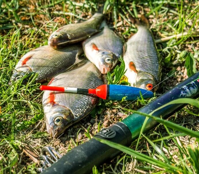 Скользящий монтаж