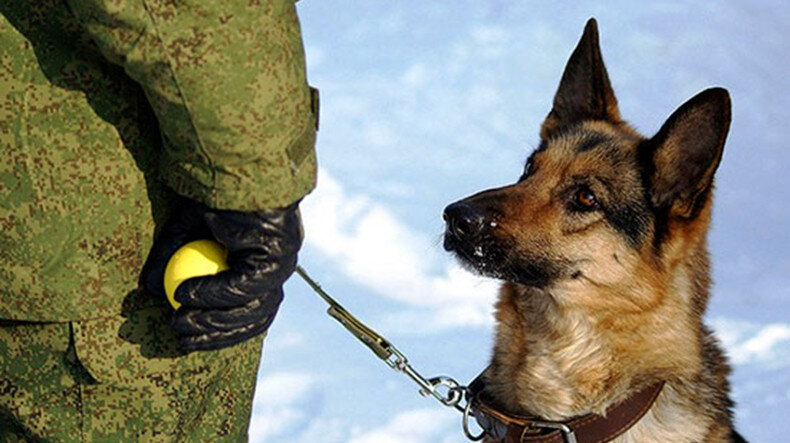 тренировка