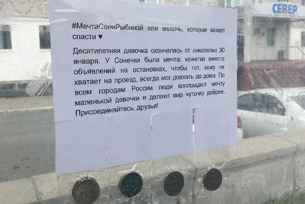 Фото: Владислав Мояк / КРАСНЫЙ СЕВЕР