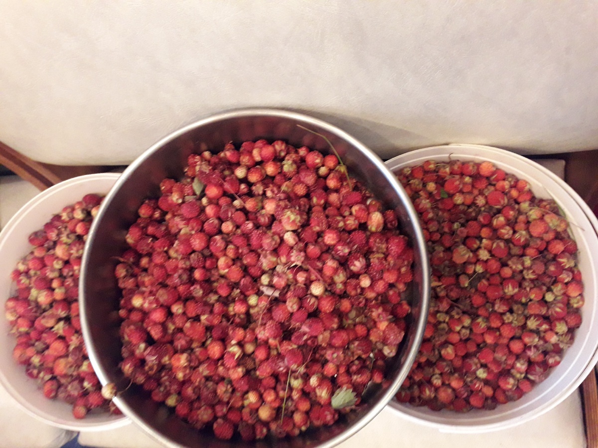 Фото  из  личного  архива.