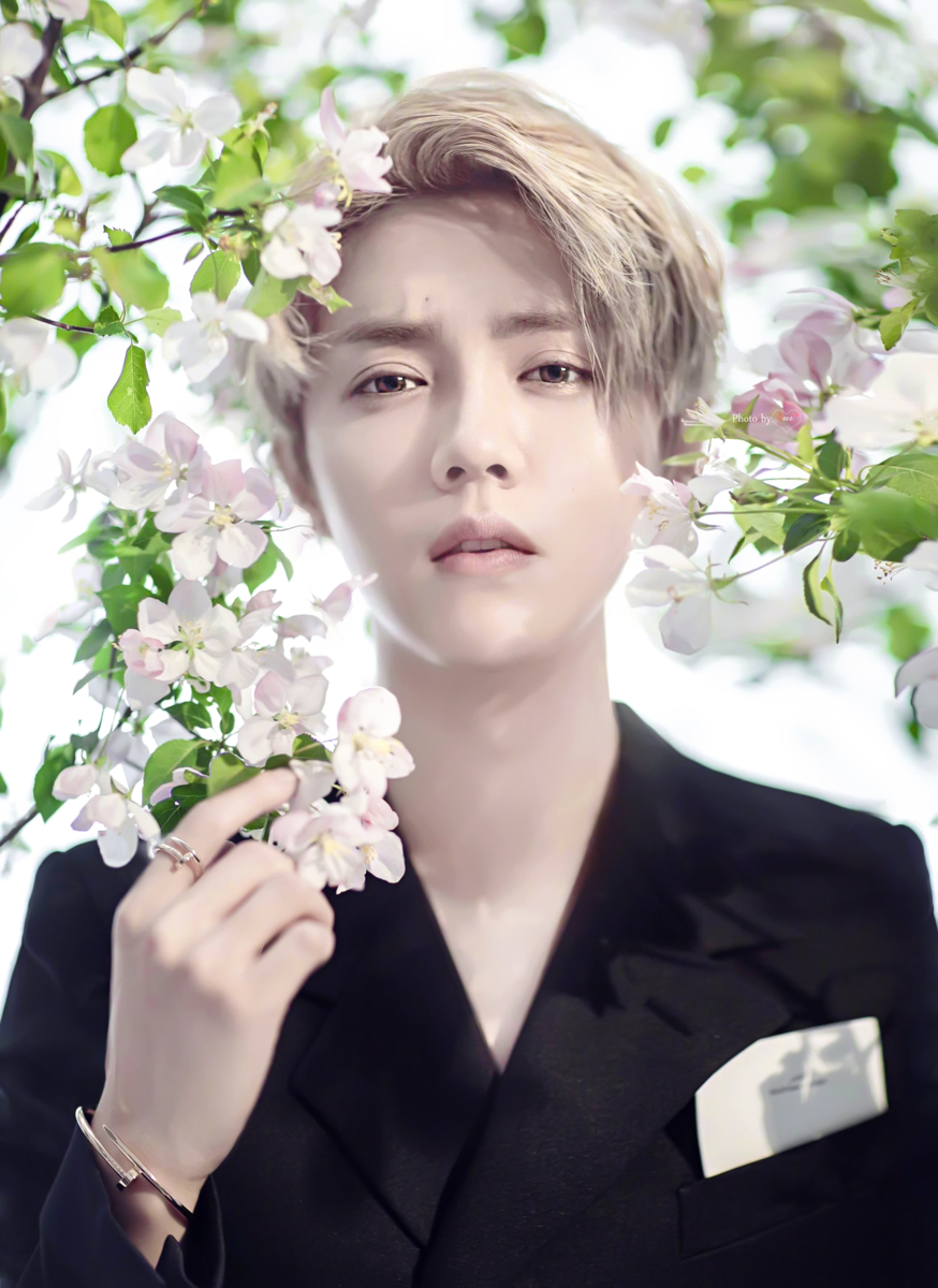 Фото с сайта tr.pinterest.com