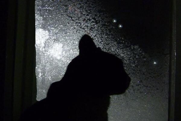 Это я.. . Яндекс картинки 