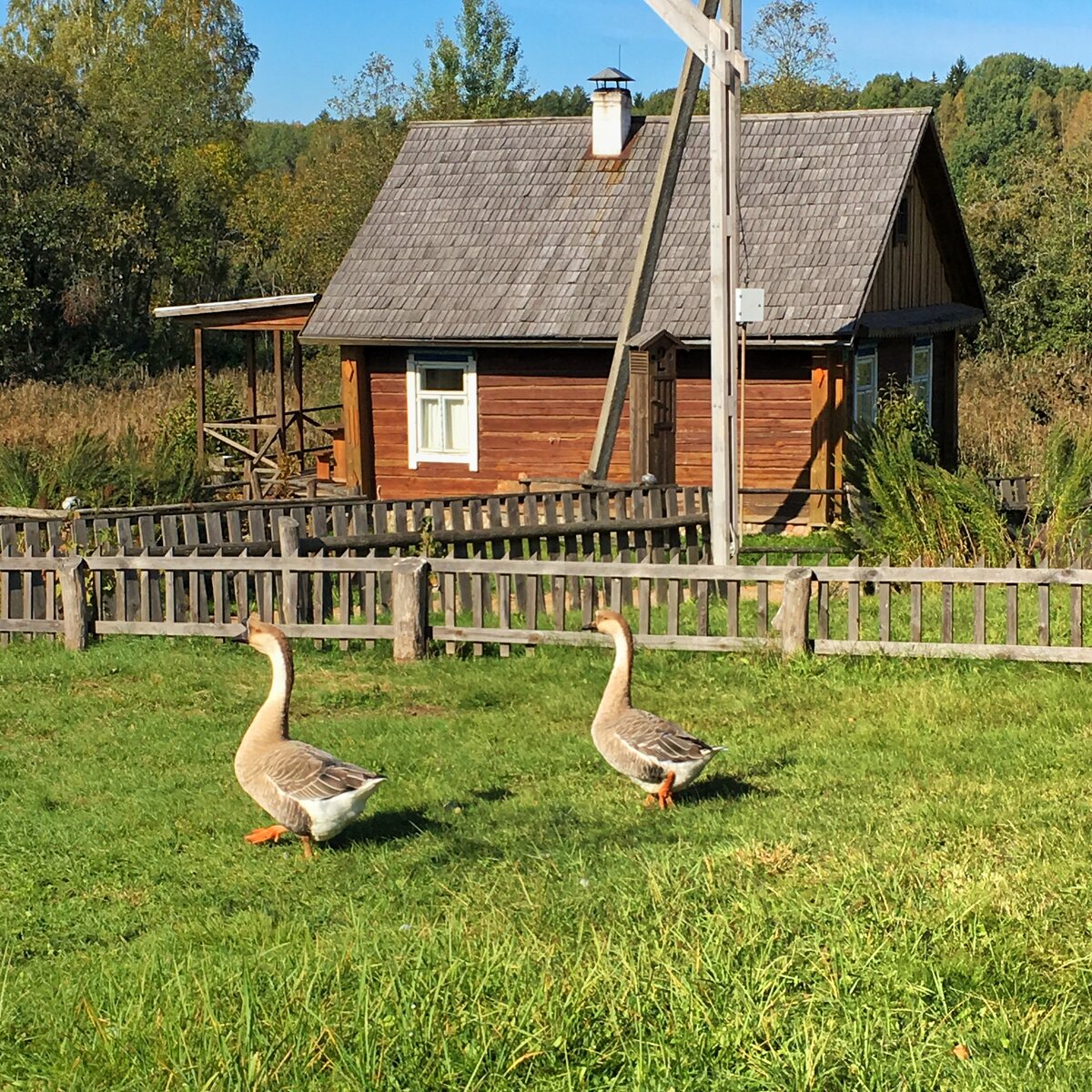 Беларусь деревни фото. Белорусская деревня. Деревня деревня Белоруссия. Села в Белоруссии. Беларусь деревня Лебядзеука.