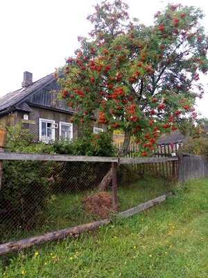И таких местечек у нас очень много. Местечек, которые пахнут детством. 