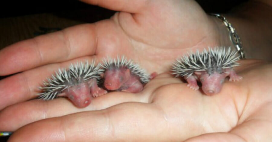 фото взято из открытых источников