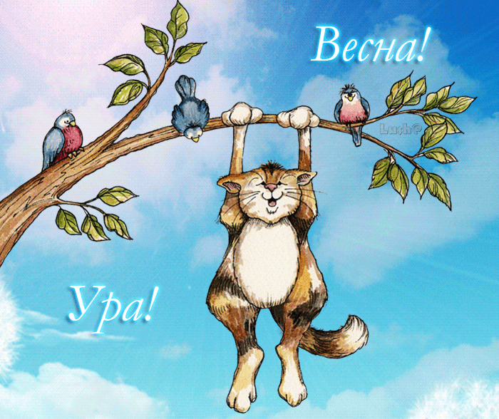 Яндекс. Картинки. 