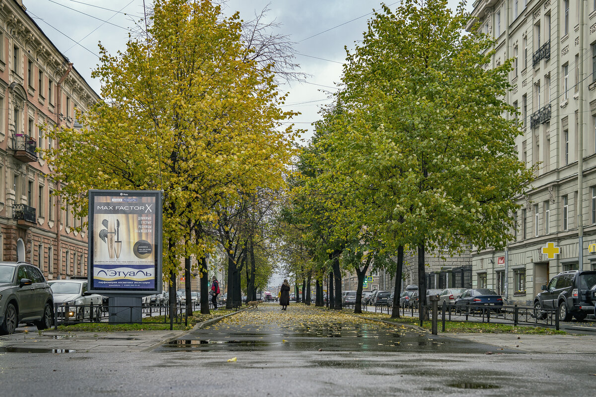 Санкт-Петербург. Прогулка с фотоаппаратом по Коломне. (Часть 1). | Владимир  Кононов | Дзен