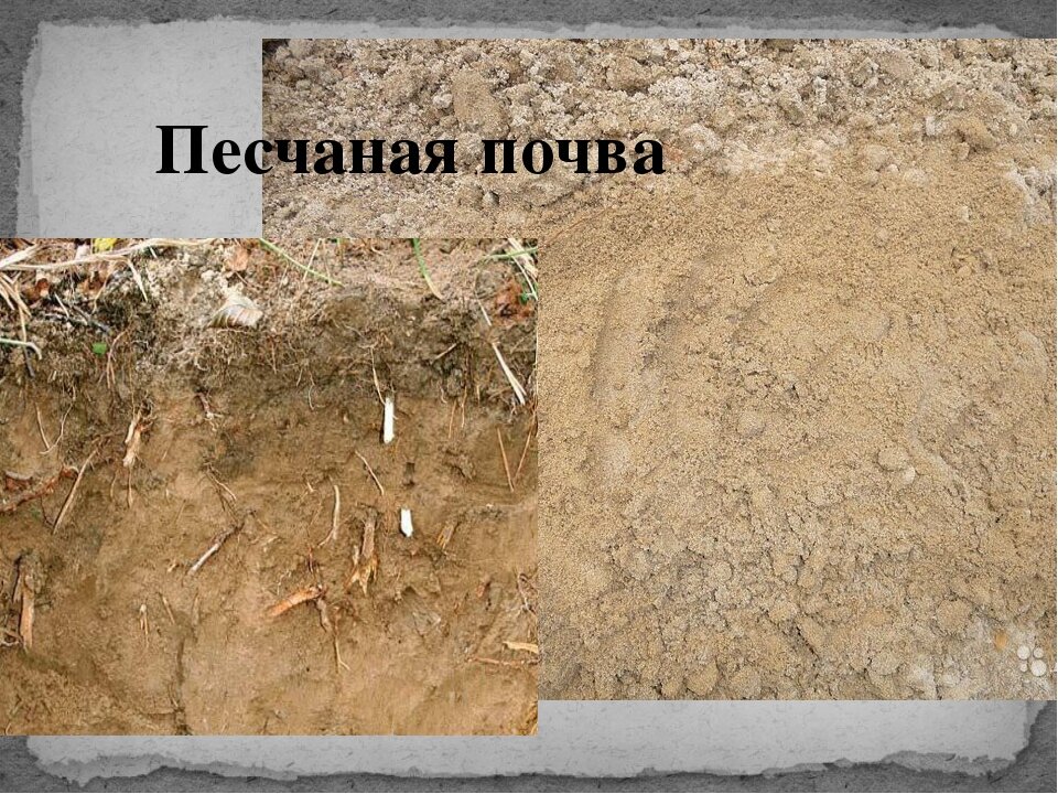 https://fs00.infourok.ru/images/doc/278/283926/img9.jpg