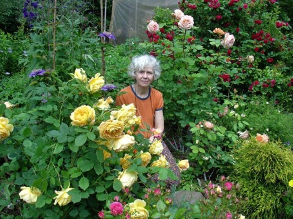 Татьяна Попова в своем чудесном саду.  Фото: http://hydrangea.ru/