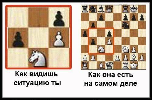 Мем "шахматы"