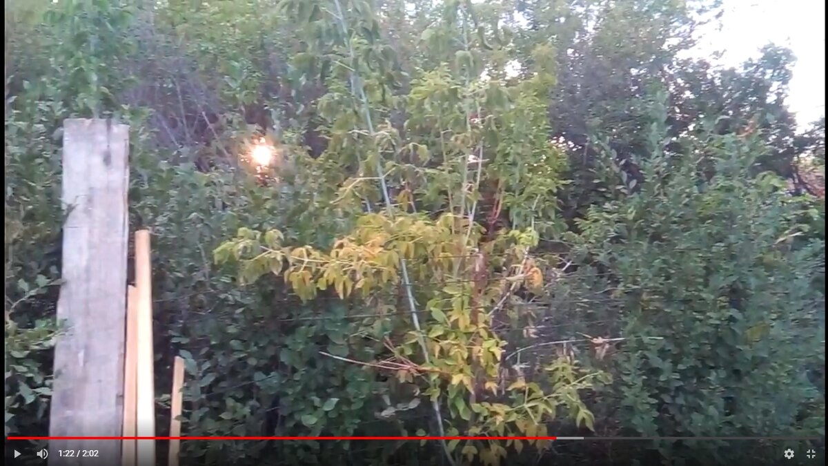 Так выглядел второй участок со стороны первого в 2016 году, фото фрагмента видео с моего канала на Ютуб
