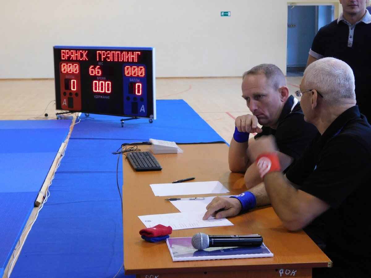 день единоборств