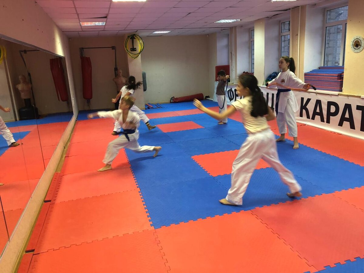 Скорость в карате wkf. упражнения для развития быстроты. | Сэн-Сэй | Дзен