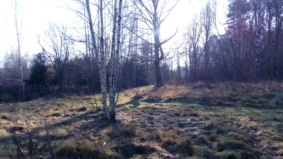 Осень в лесу.