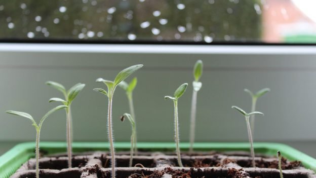 Фото: pixabay.com