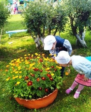 Знакомство с растениями