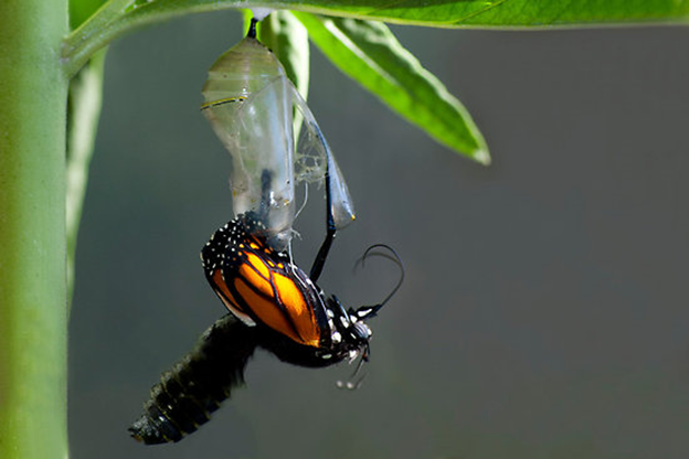 Не спешите причинять помощь и наносить добро.