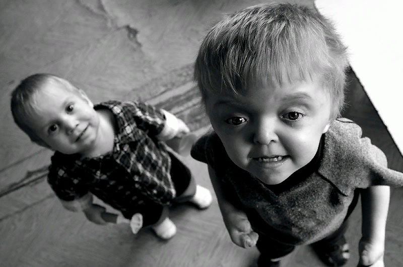 Владимир Котляров  »  Из серии "Дом сирот"