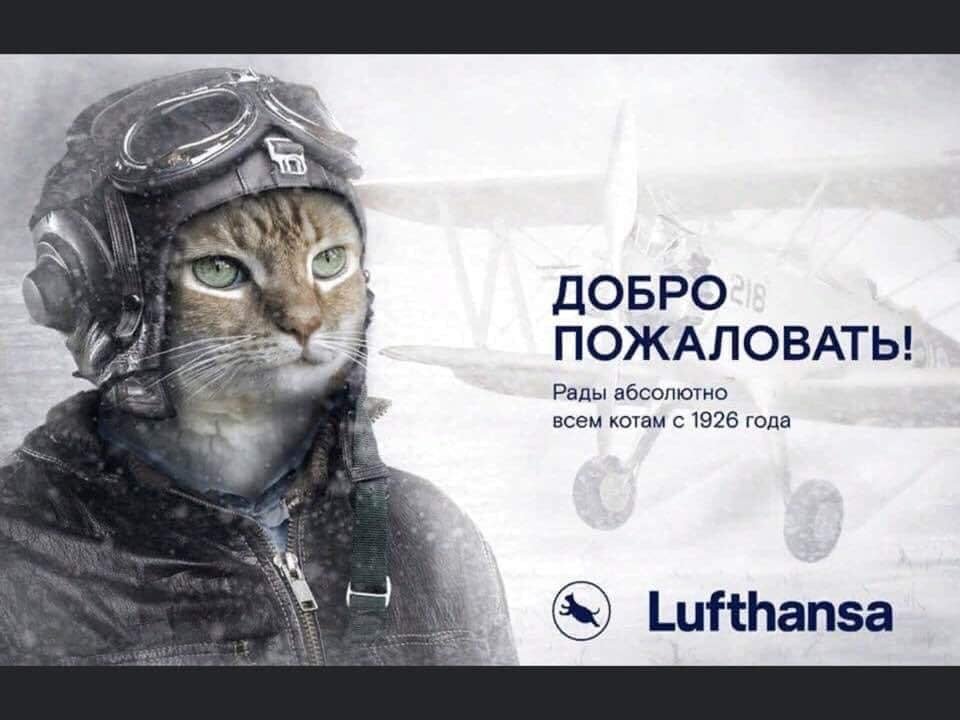 Картинка якобы от немецкой авиакомпании Люфтганза. На самом деле компания от картинки открестилась