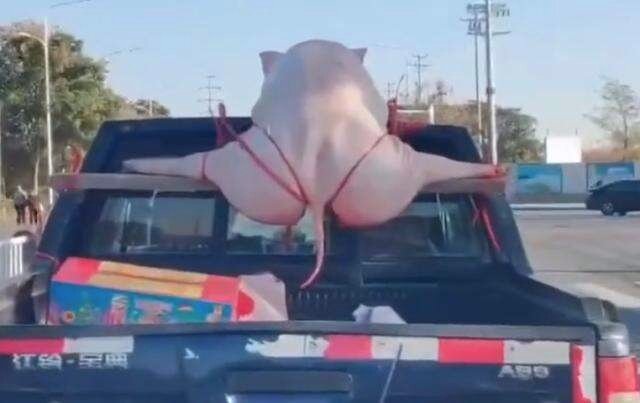 Мы едем, едем, едем в далекие края :)