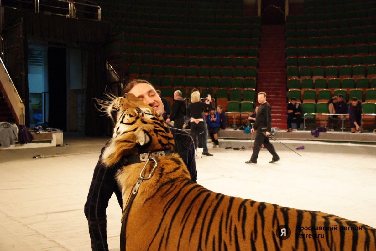 дрессировщики тигров братья запашные. братишки тигры. дрессировщики братья запашные. эдгард запашный дрессировщик. дрессировщики братья запашные.