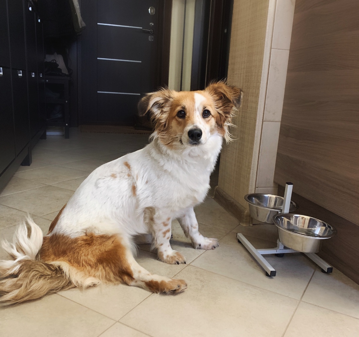 Завтрак Люси