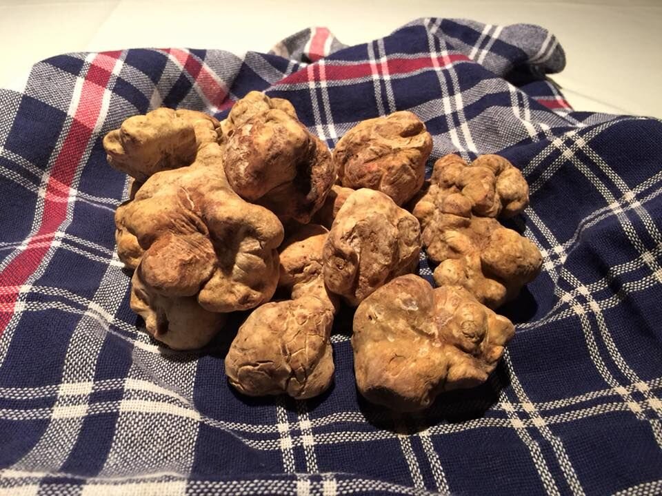 Белые трюфели из Альбы