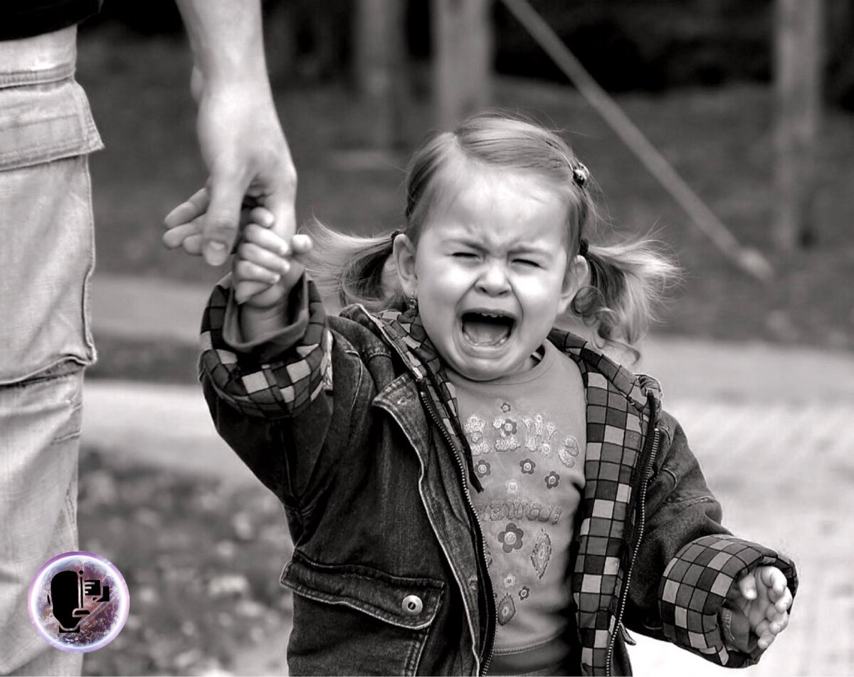 Фото взято из сети интернет.