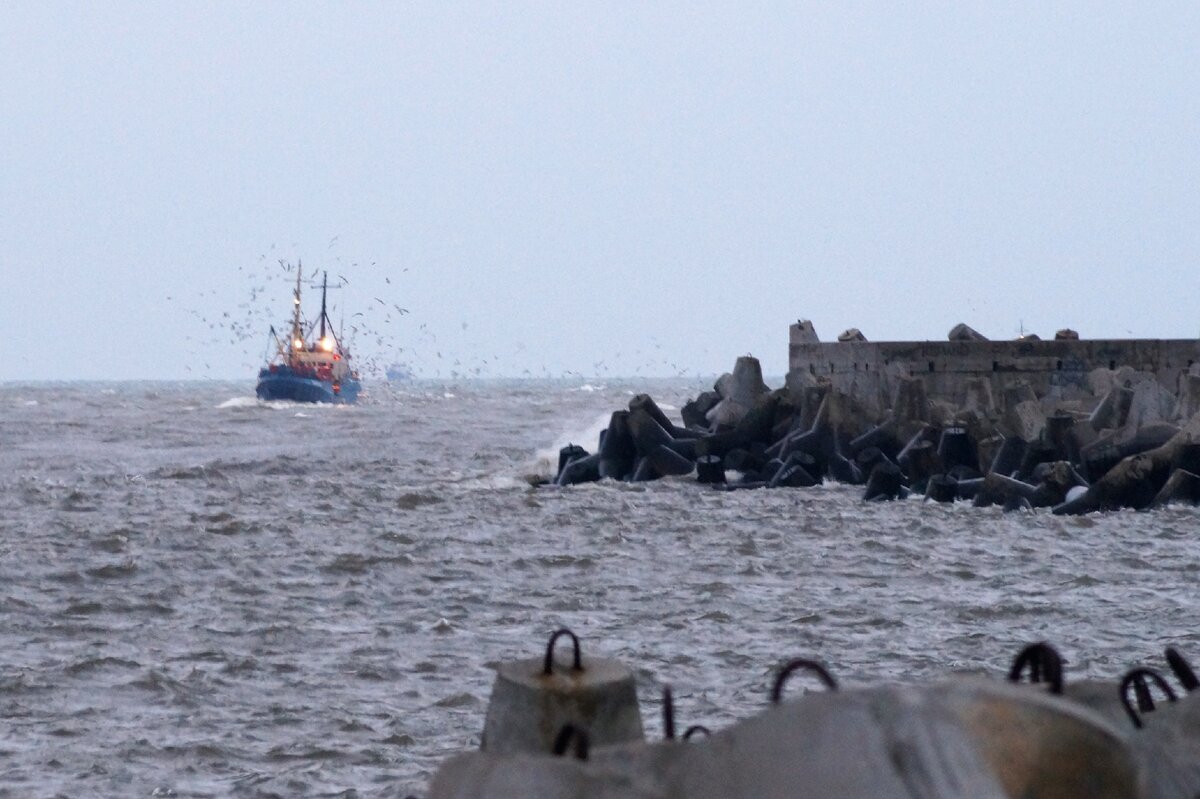 Балтийское море рыбный промысел. Был ли град в Балтийске сегодня.