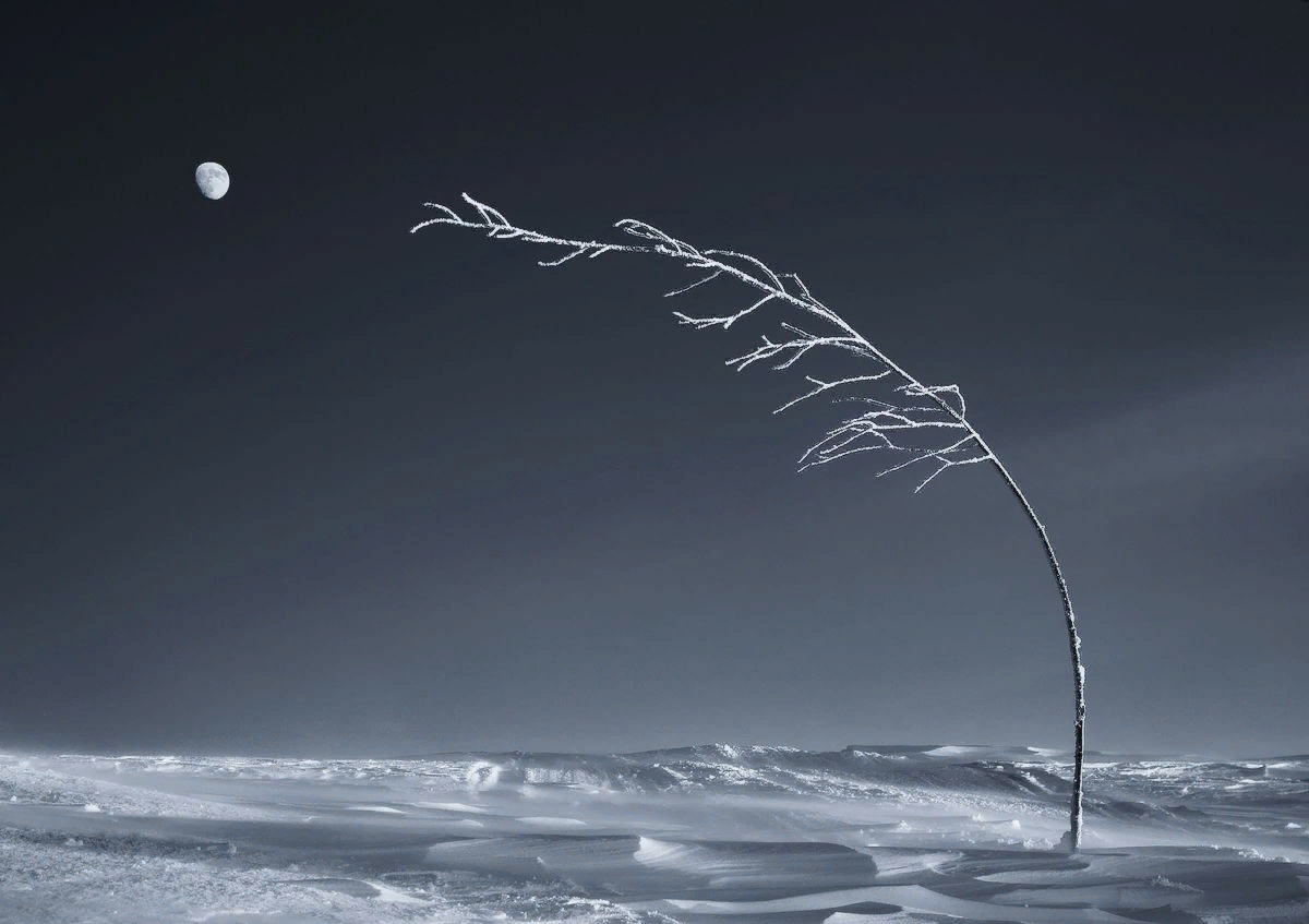 Стремление. Автор фото: Анна Костенко 