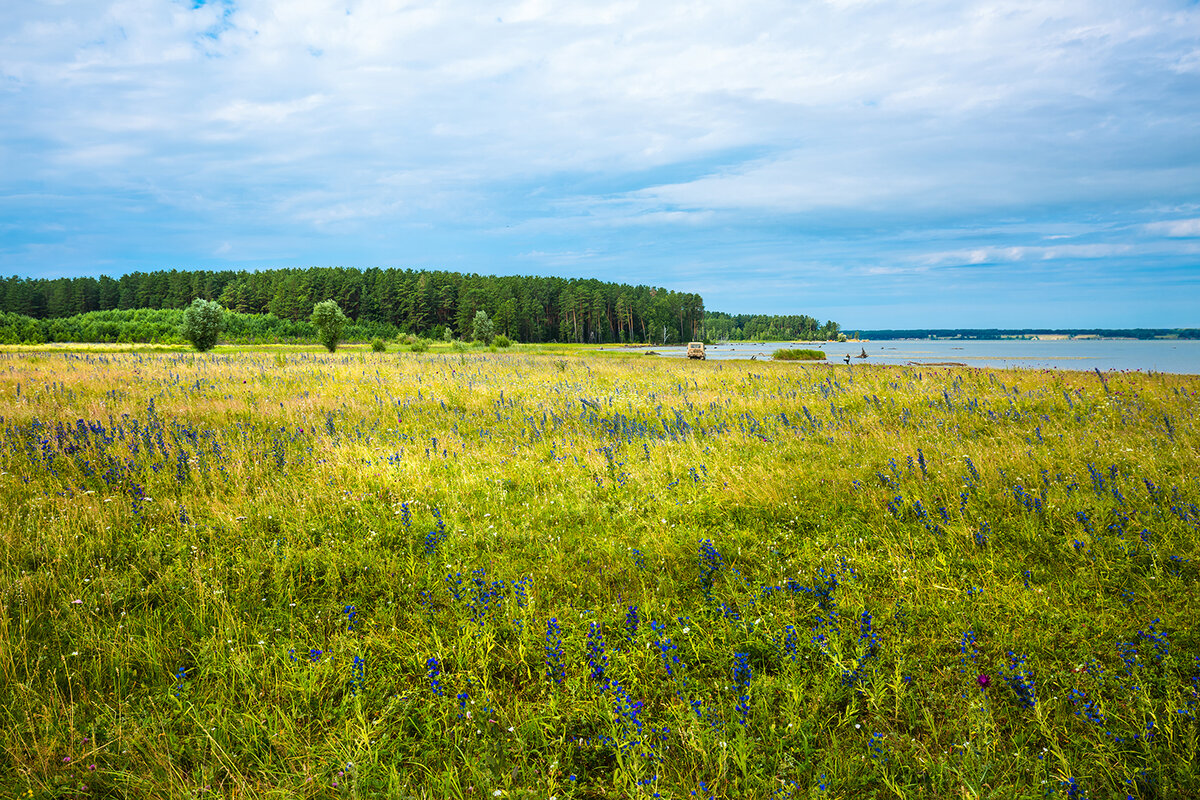 Погода в ордынском районе на 10 дней. Ордынское Новосибирская область фото. Ордынский район пейзаж июнь. Достопримечательности Ордынского района. Озеро Ордынское Усть Ордынский.