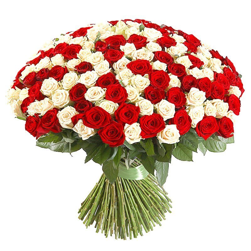 С просторов Интернета