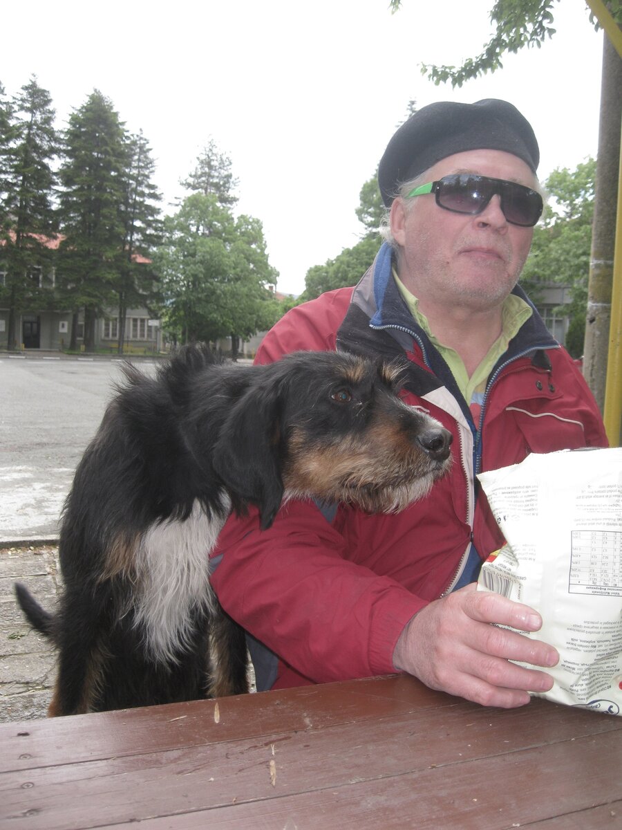 Шарик тоже любит чипсы.