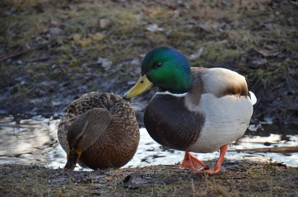 Фото из собственного архива 