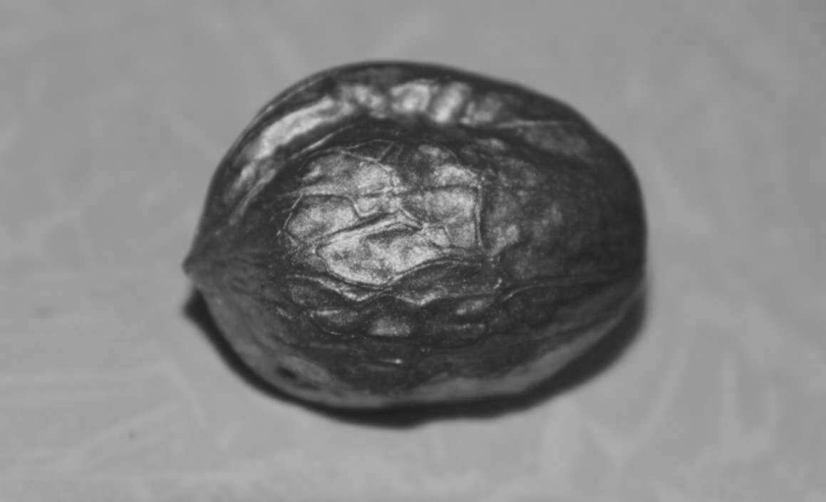 Собственное фото.